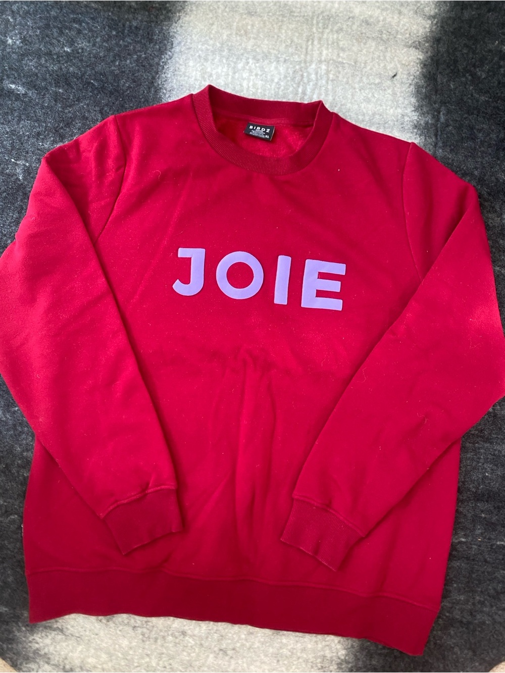 BIRDZ "Joie" Red Crewneck Fleecy Sweatshirt - Women's XL